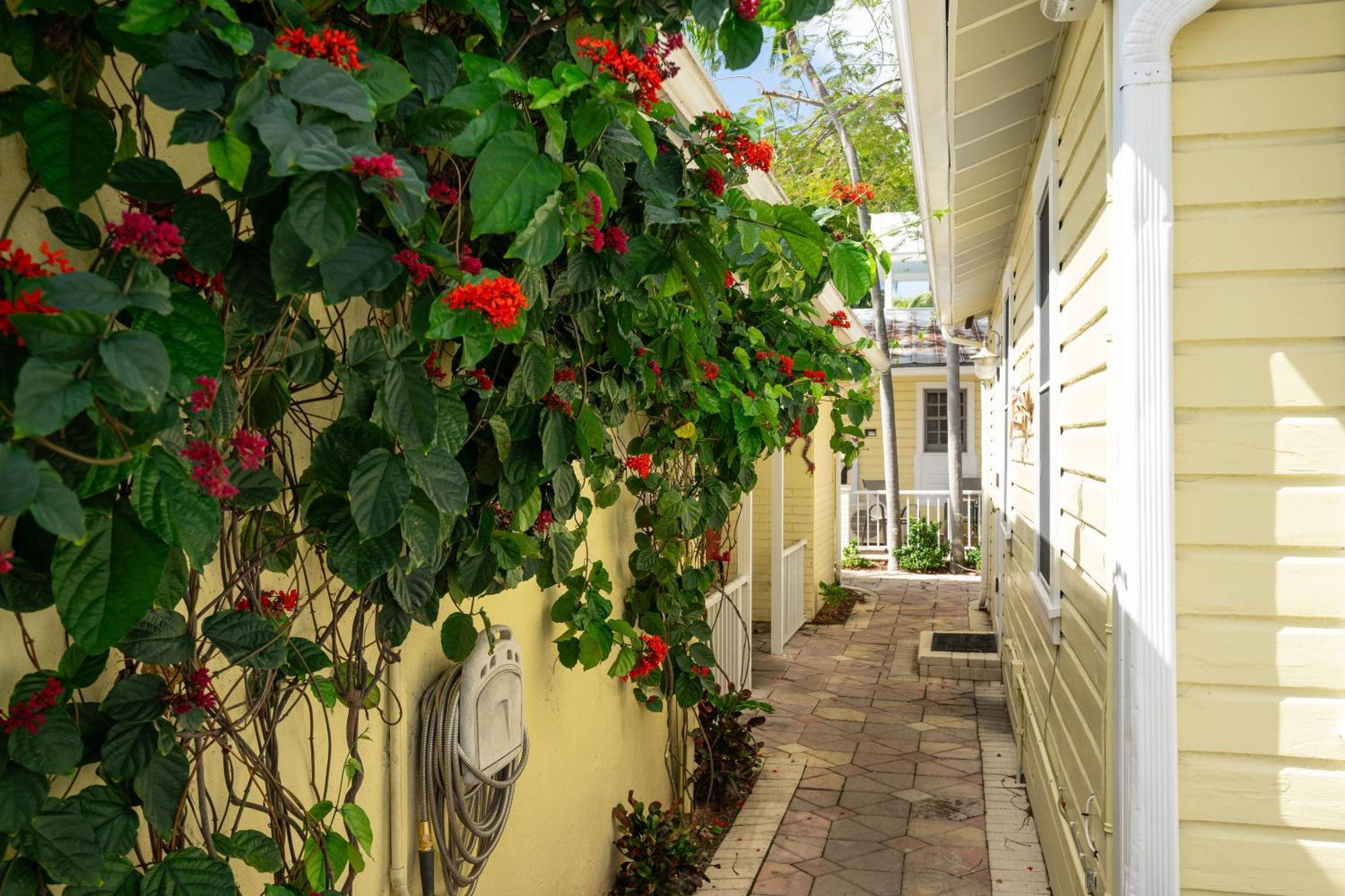 The Cozy Little Cottage Ки-Уэст Экстерьер фото